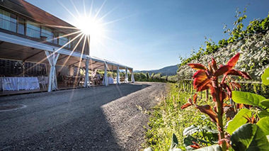 Terrazza esterna con vista e area verde presso Agriloro.