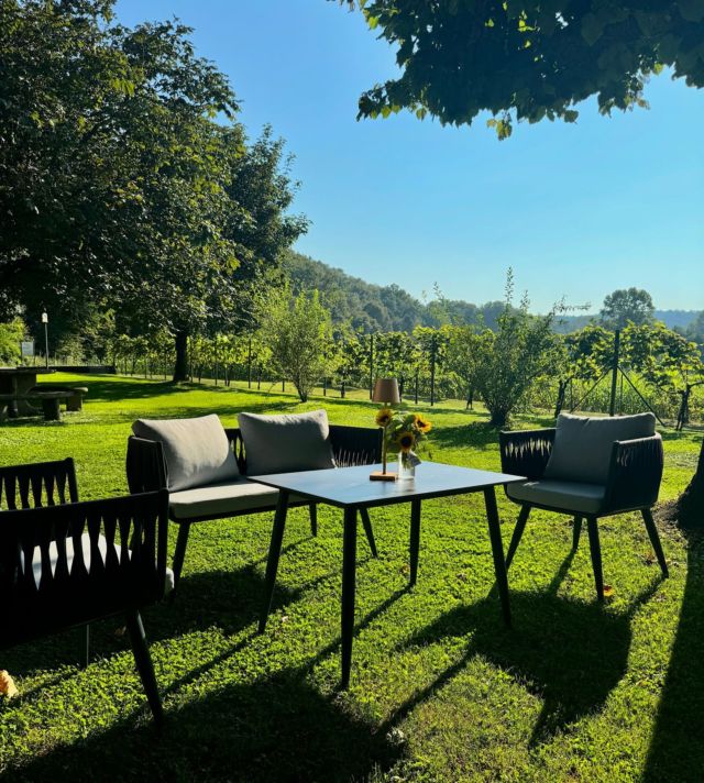 ☀️ Al meteo di questi giorni noi rispondiamo con un raggio di sole! ☀️ 

Buona domenica a tutti, con questa foto che sa veramente di primavera! 🌻

#eventopolis #events #sun #day #flowers #organizzazione #eventi